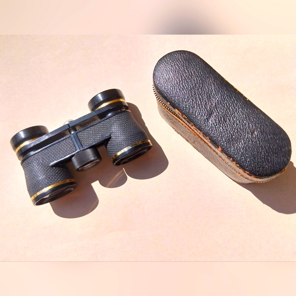 Black and Gold Binoculars with Case - Picture 1 of 11